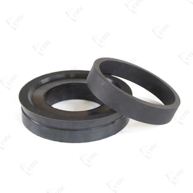080372004 Delivery Piston Seal Ø 200 with Guide Ring
